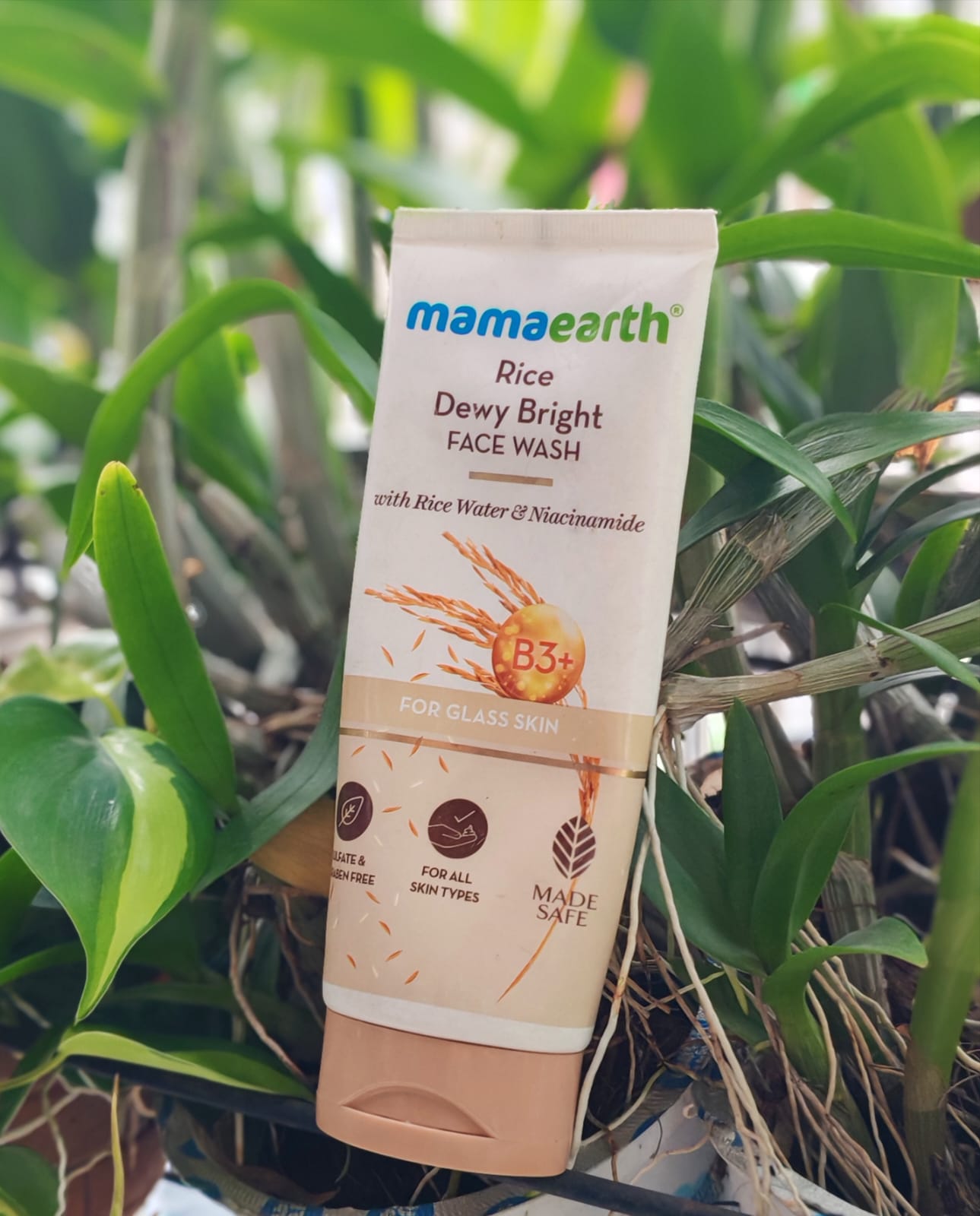 Mamaearth Rice Dewy Bright Face Wash (100g)