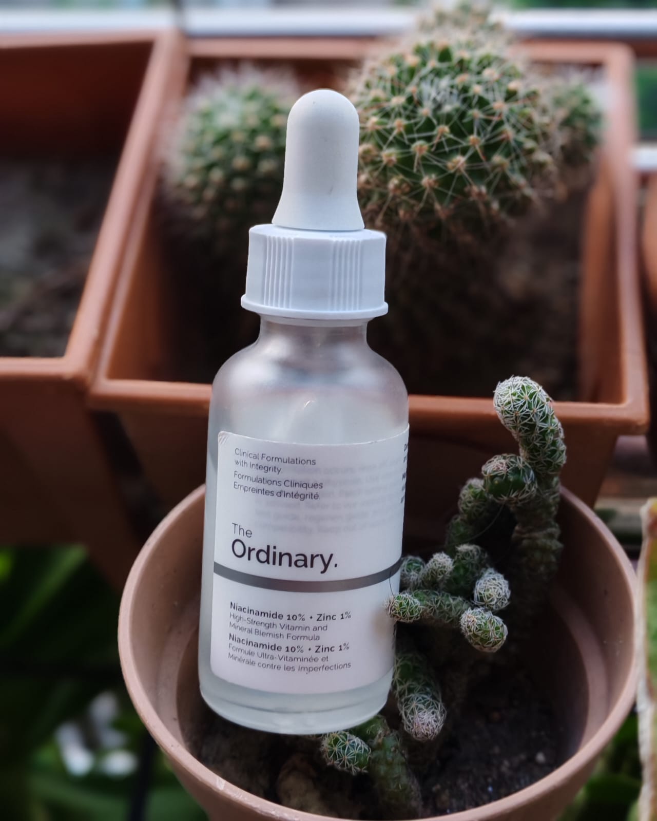 The Ordinary Niacinamide 10% + Zinc 1% (High-Strength Vitamin and Mineral Blemish Formula) 30 ml